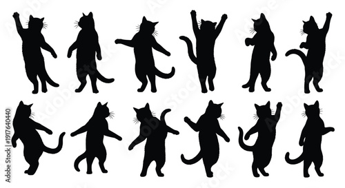 Collection of playful cat poses in dark silhouette