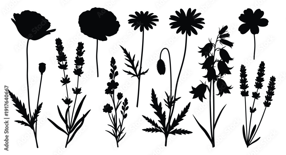 Naklejka premium Black floral arrangement with various wildflowers and plants silhouette