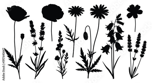 Black floral arrangement with various wildflowers and plants silhouette
