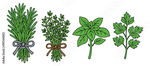 Hand drawn line art herbs set featuring rosemary, thyme, basil, and parsley for cooking and culinary design