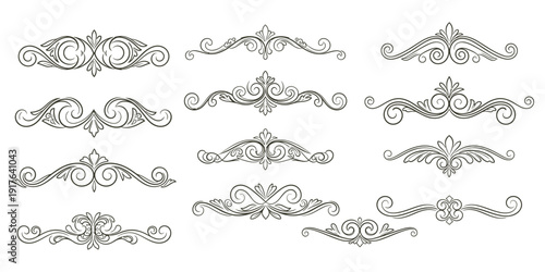 Ornate Flourishes and Swirling Patterns in Decorative Illustration