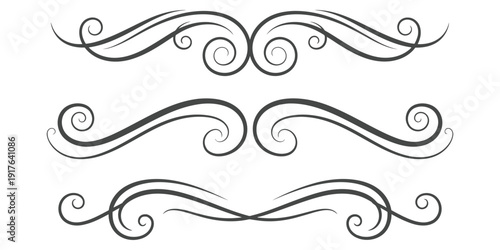 Elegant swirling lines in a classic illustration design