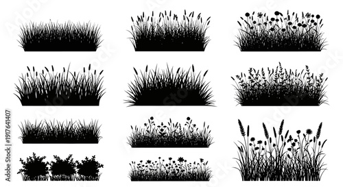 Collection of black silhouette illustrations of various grasses and wildflowers, perfect for natural landscapes and garden designs