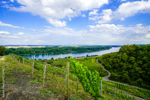 Foto View of the surrounding landscape near Nierstein