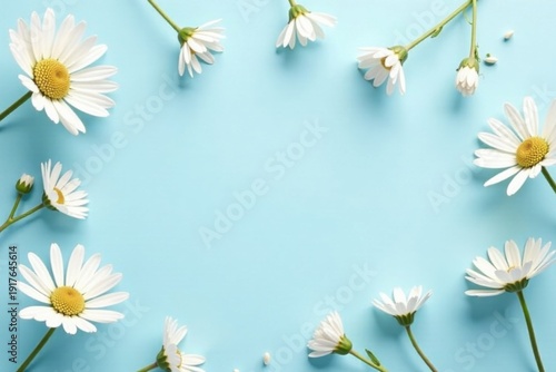 A Delicate Frame of White Daisies on a Light Blue Background, Perfect for Springtime Designs and Celebrations