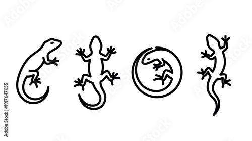 Set of four minimalist black lizard icons in various poses, including profile, top-down, and curled views, rendered in a simple and clean line art graphic style