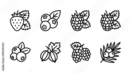 Collection of various berry line icons including strawberry, raspberry, blueberry, and gooseberry, drawn in a simple, clean, and minimalist outline style for graphic design