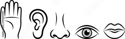Five human senses icons collection, hand ear nose eye lips black and white outline vector illustration isolated sensory symbols set