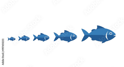Blue fish growth stages.