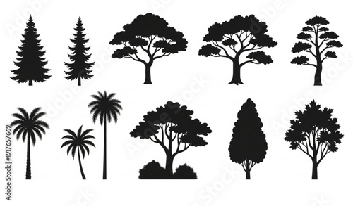 Minimal Black Tree Silhouettes Vector Set from Various Natural Zones