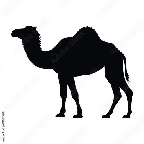 A striking silhouette of a dromedary camel showcasing its distinctive hump and form