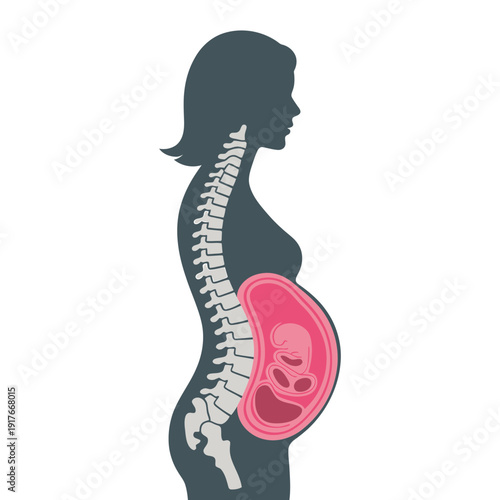Illustration of a pregnant woman s silhouette showcasing fetal development inside