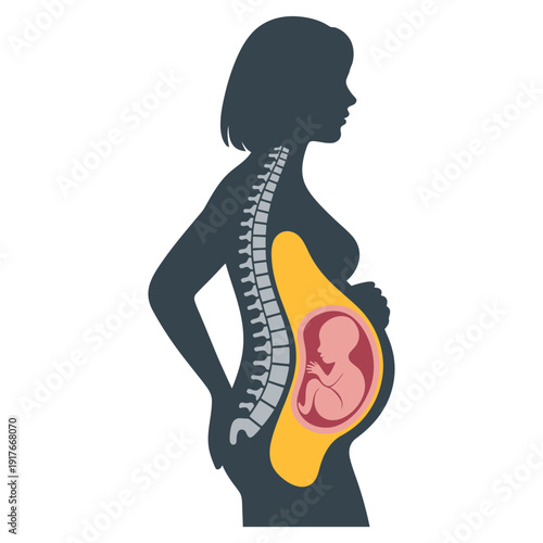 Illustration of a pregnant woman s silhouette revealing fetal development inside