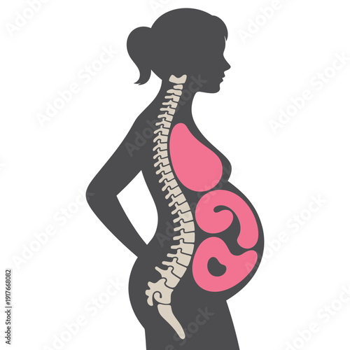 Silhouetted pregnant woman displaying fetal development within the womb