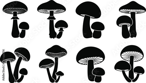 Set of black mushroom silhouettes featuring different fungus species with gills and caps isolated on white background for botanical nature and mystical autumn designs (24 words)