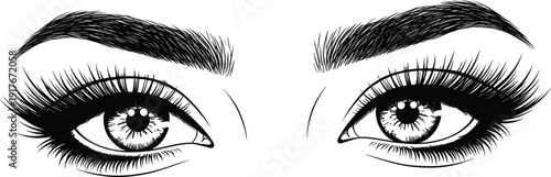 Vector, black, and, white, illustration, of, beautiful, female, eyes, with, long, eyelashes, and, perfectly, shaped, eyebrows, for, beauty, salon, makeup, and, cosmetics, design, elements
