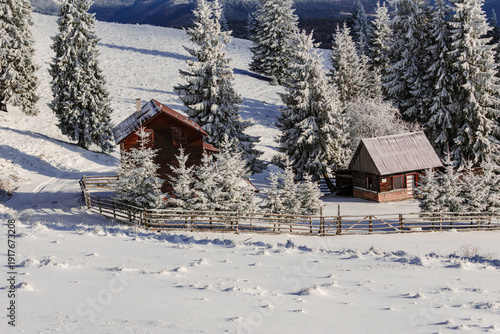 Snowy mountain cabins in winter forest