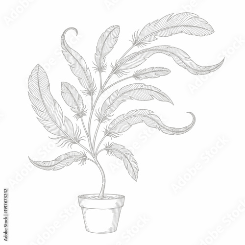 Potted plant with long leaves.