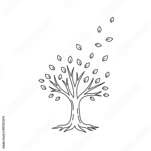 Tree Losing Leaves in Autumn Season.