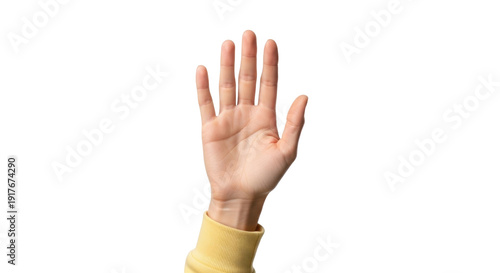 Tableau sur toile Isolated outstretched human hand with five fingers, showing or gesturing, studio