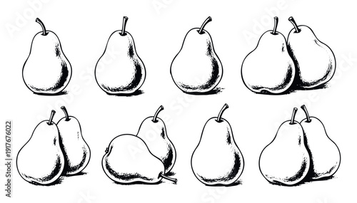 Collection of black and white handdrawn pear illustrations, featuring single and grouped fruits, ideal for food packaging, recipe books, and natural product branding.