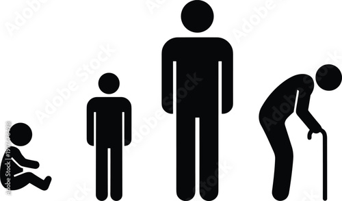 Iconic figures representing different human life stages and sizes vector illustration