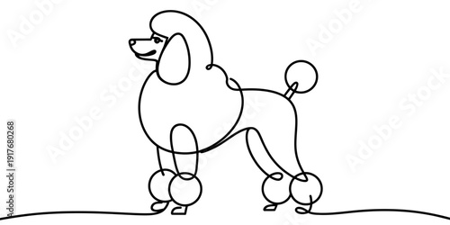 Minimalist one line drawing of a standing poodle dog with a classic show cut
