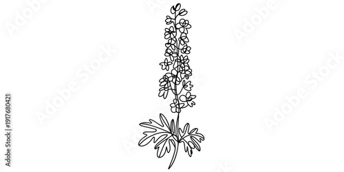 Hand drawn vintage illustration of a delphinium flower with detailed petals and leaves