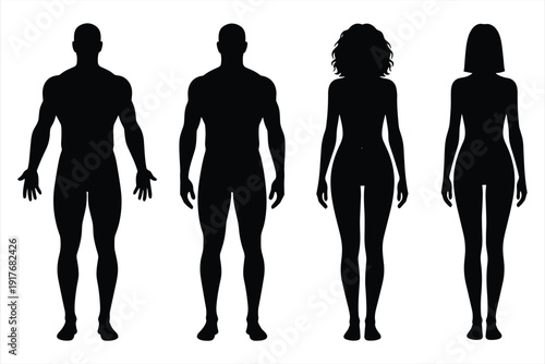 Silhouettes of Two Muscular Men and Two Women with Different Hairstyles Keywords: male, female, human, body, silhouette, man