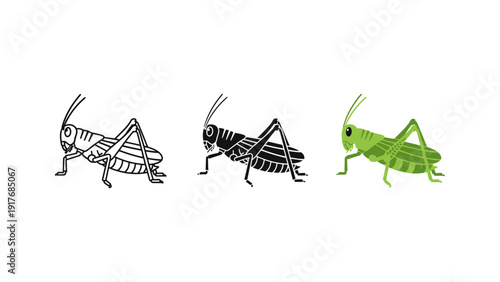 Three grasshoppers life stages illustration vector set isolated on white background nature insect