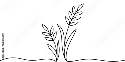 Minimalist continuous line drawing of wheat stalks on a white background for design.