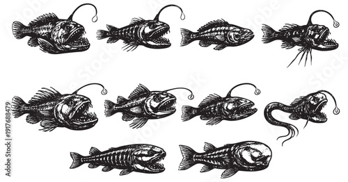 A set of black and white illustrations of various anglerfish on a white background. Perfect for marine biology, oceanic themes, fantasy art, and educational materials.