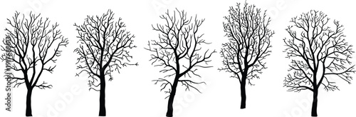 Winter tree silhouettes, leafless forest illustration, barren tree artwork, seasonal nature design, black silhouette trees, botanical branching pattern, minimalist landscape art