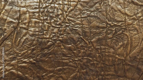 A close-up of elephant skin. Suitable for use as a banner or wallpaper.