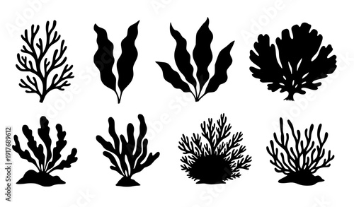 Marine reef plant silhouette set vector seaweed algae underwater flora isolated on transparent background