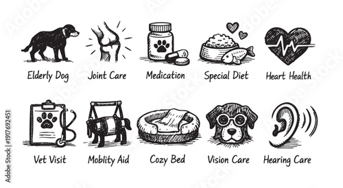 Hand-drawn icons illustrating various aspects of senior dog care, including vet visits, joint support, heart health, special diet, and mobility assistance. 