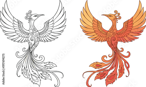 Mythical phoenix bird vector illustration set featuring detailed black and white line art and vibrant orange fire colors with decorative swirl patterns isolated
