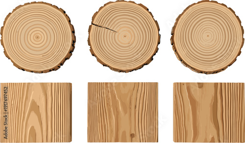 Wood texture tree stump slices and planks wood slice wood plank
