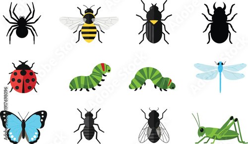 Insect illustrations, spider, bee, beetle, ladybug, caterpillar, dragonfly, butterfly, ant, fly, grasshopper, entomology vector, biology design, nature artwork