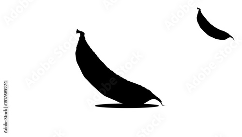 Hyacinth bean, black isolated silhouette