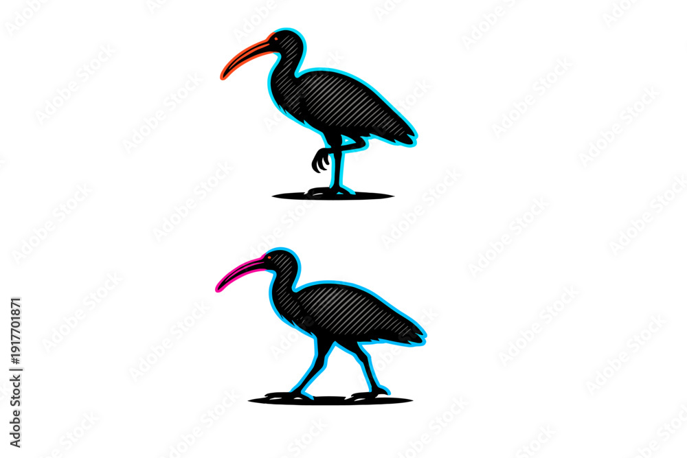 Fototapeta premium Two stylized illustrations of an ibis bird on a black background. The top bird stands on one leg with an orange beak, while the bottom bird walks with a pink beak and blue outlines.
