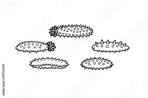 Five minimalist black and white line drawings of spiky sea creatures or caterpillars are shown against a dark background. Each organism features unique patterns and spines.