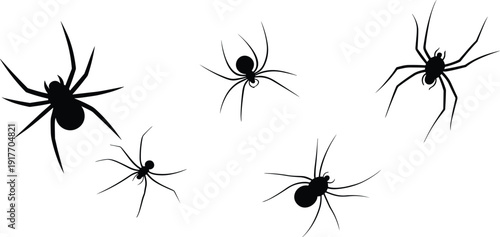 Spider silhouettes illustration, black arachnid artwork, creepy insect design, Halloween spider icons, scary bug shapes, eight legged creature vector