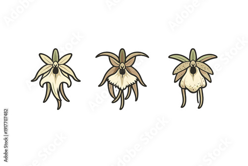 Three stylized orchid flower illustrations with white borders are arranged horizontally on a black background. The floral designs feature muted tones of beige, brown, and green.