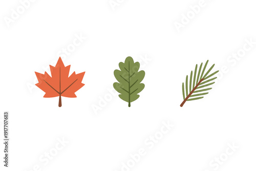 A flat illustration featuring three different types of leaves including an orange maple leaf, a green oak leaf, and a pine needle branch, all set against a solid black background.