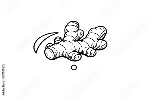 A minimalist white line drawing of a ginger root is centered on a solid black background. The illustration features the characteristic knobby and segmented shape of the spice.