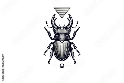 A monochromatic woodcut style illustration of a stag beetle with large mandibles. The insect is surrounded by geometric symbols including a lined triangle and a small sphere.