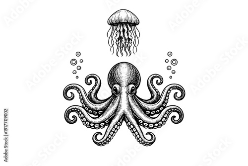 Detailed black and white engraving of an octopus and a jellyfish with bubbles. The artwork features high contrast and intricate textures against a dark background.