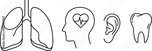 Human anatomy medical icon set with lungs heart brain ear and tooth for healthcare education and hospital vector,