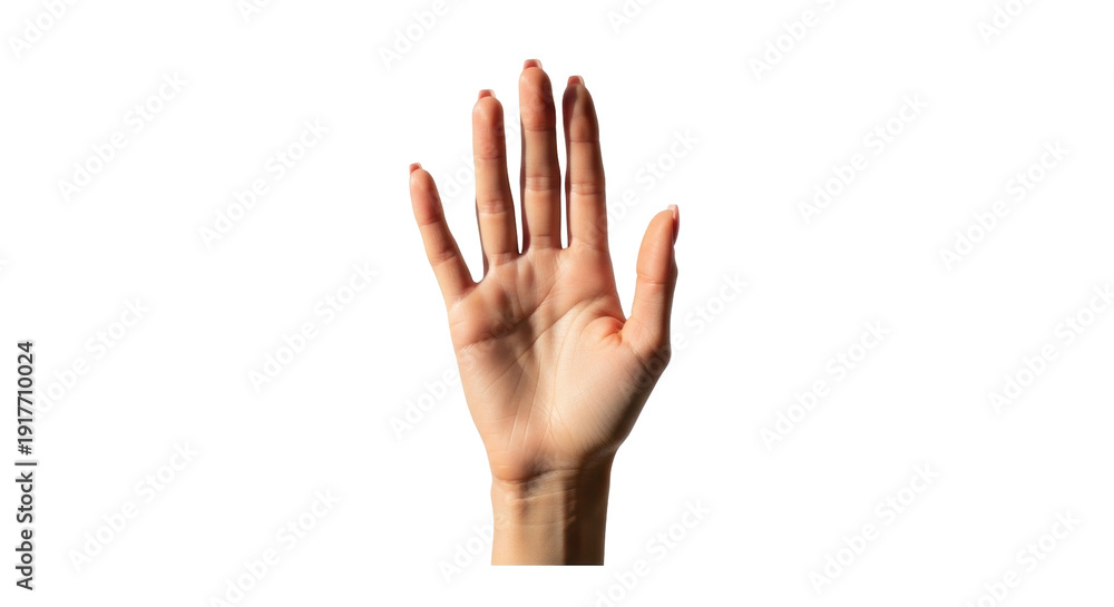 Fototapeta premium Isolated human hand raised upward, palm facing forward in a stop or greeting gesture